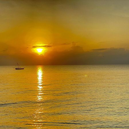 Lui Ushongo Beach House Pangani Eksteriør bilde
