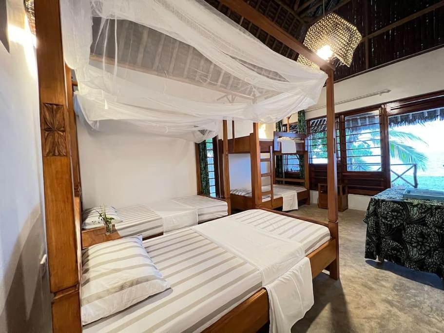 Lui Ushongo Beach House Pangani Eksteriør bilde