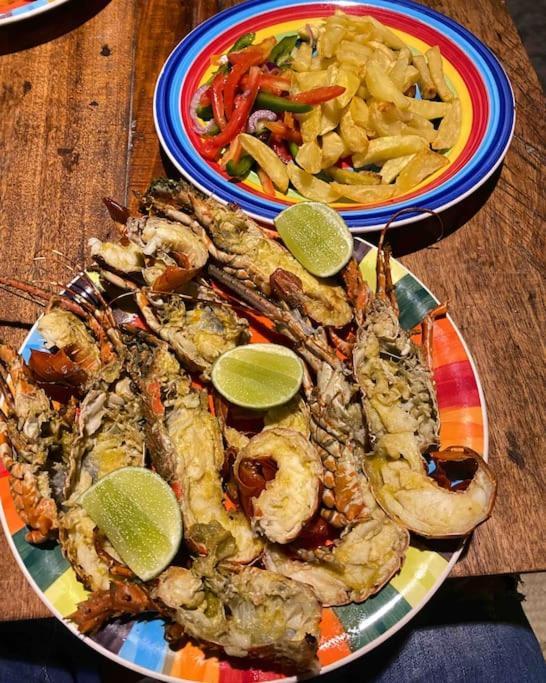 Lui Ushongo Beach House Pangani Eksteriør bilde
