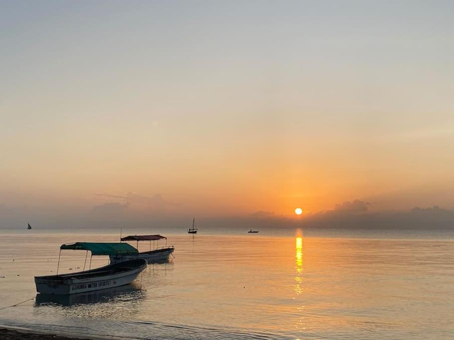 Lui Ushongo Beach House Pangani Eksteriør bilde