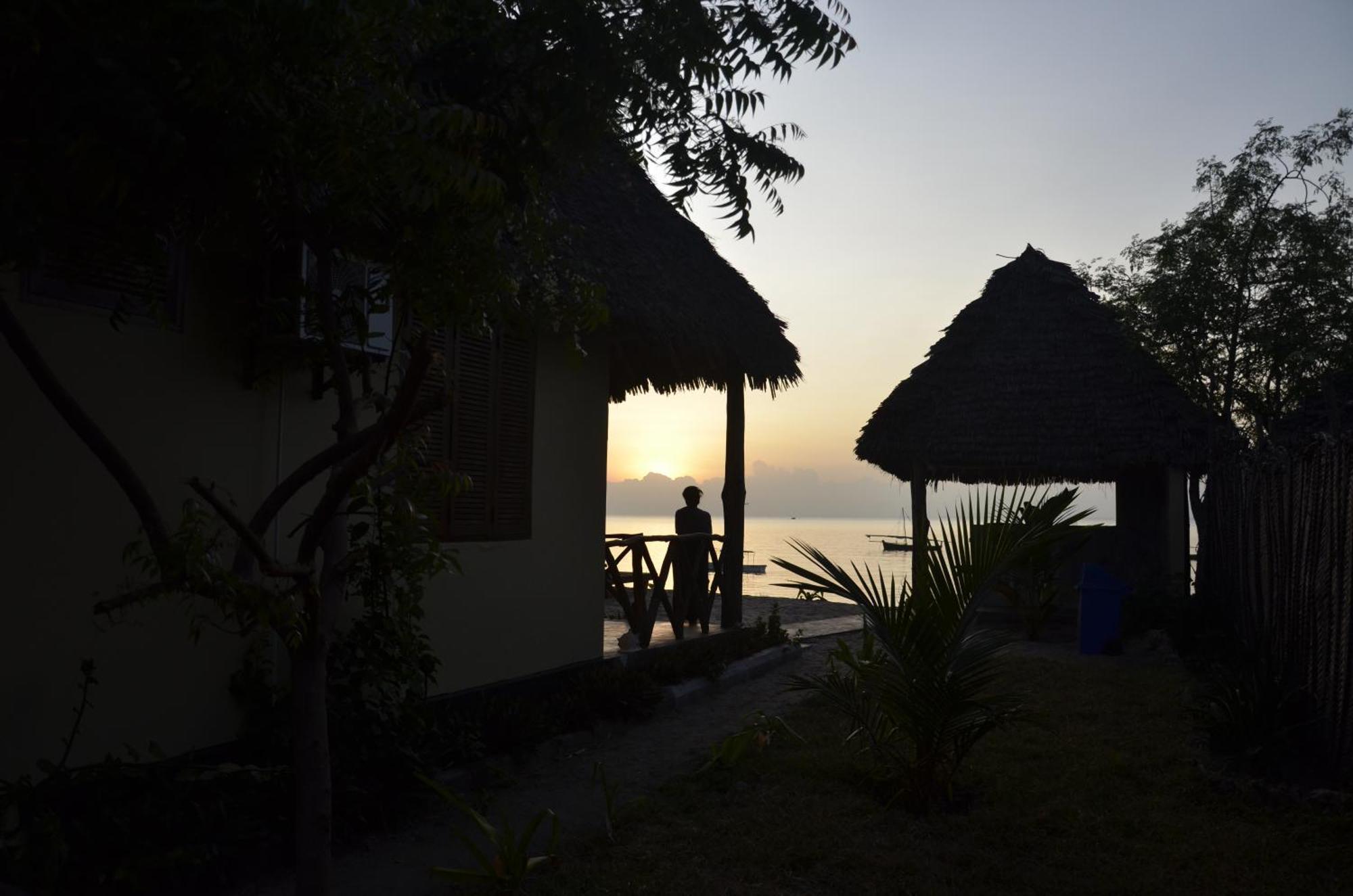 Lui Ushongo Beach House Pangani Eksteriør bilde