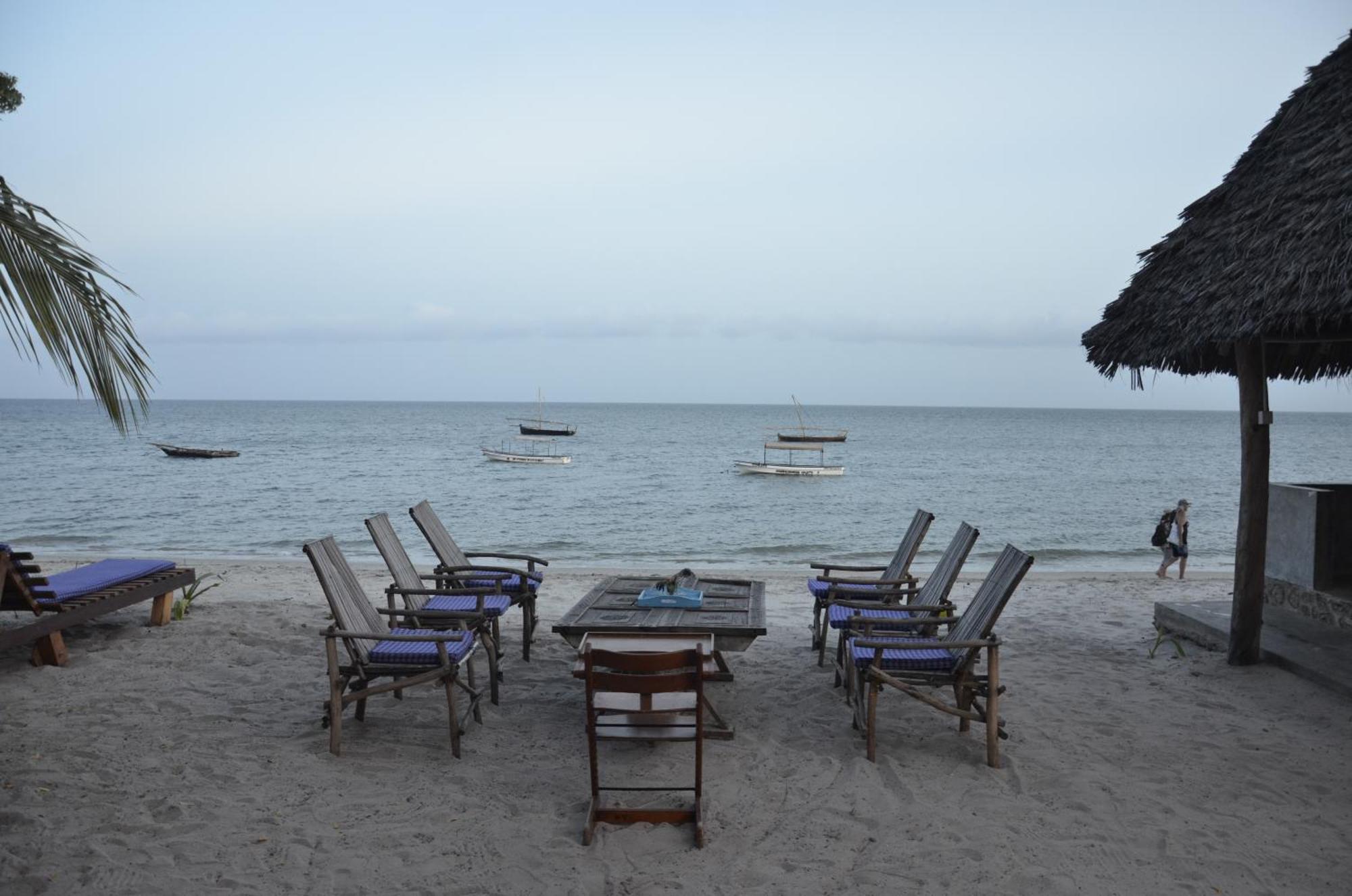 Lui Ushongo Beach House Pangani Eksteriør bilde