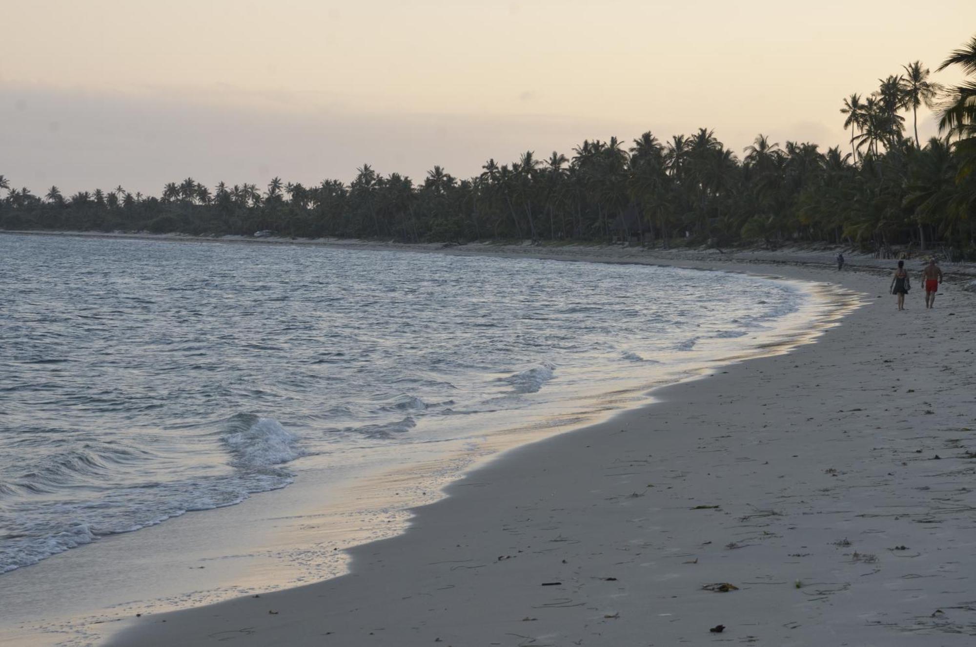 Lui Ushongo Beach House Pangani Eksteriør bilde