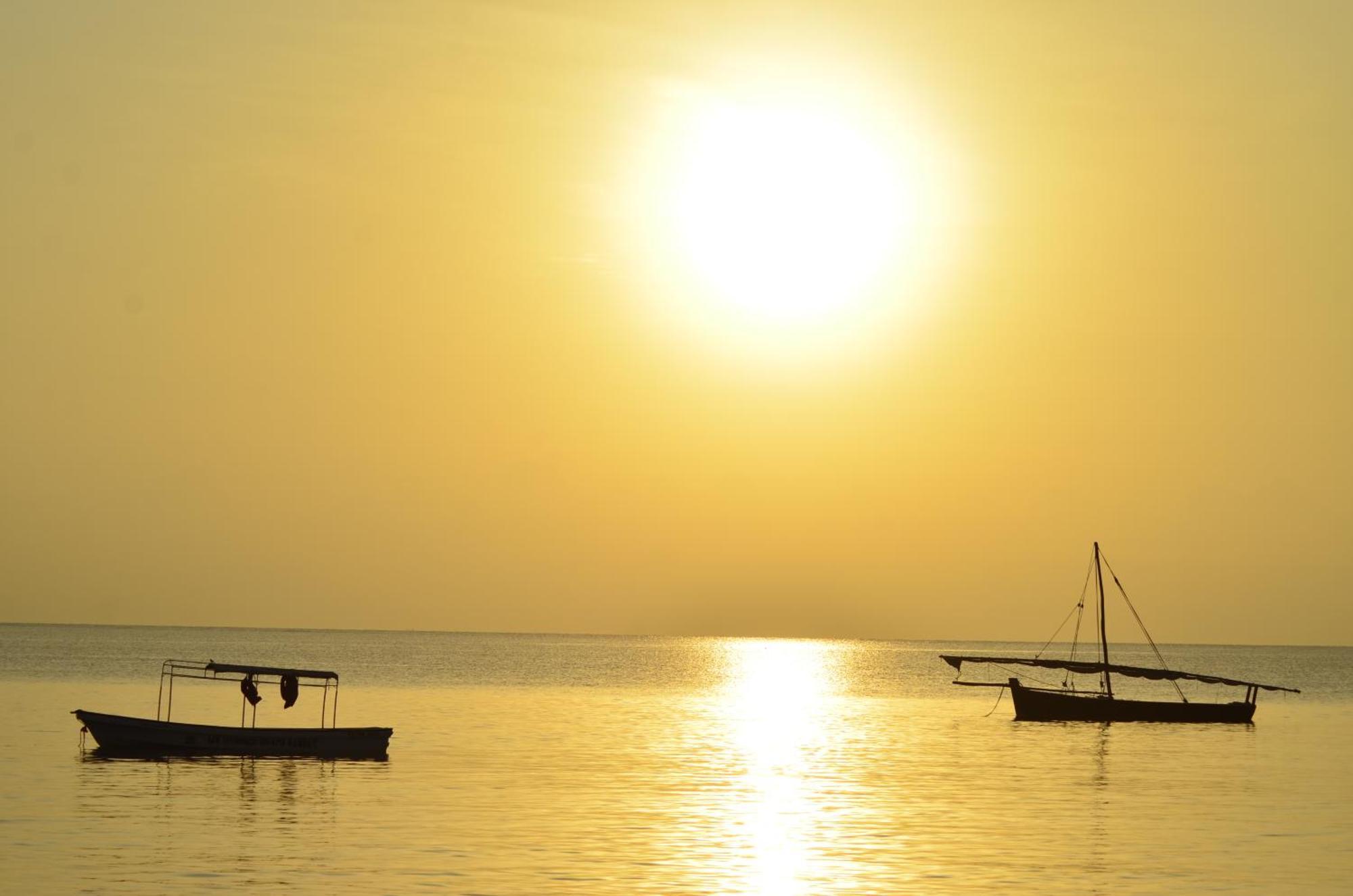 Lui Ushongo Beach House Pangani Eksteriør bilde