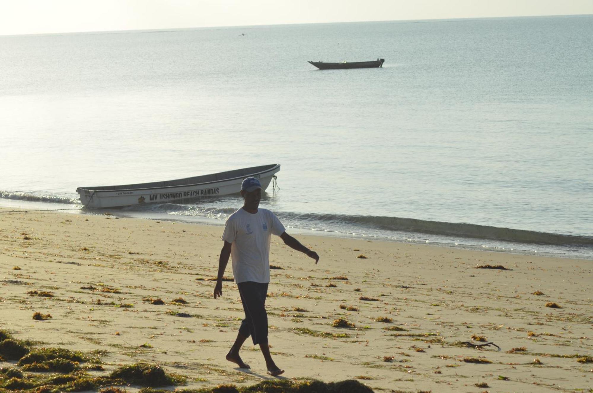 Lui Ushongo Beach House Pangani Eksteriør bilde